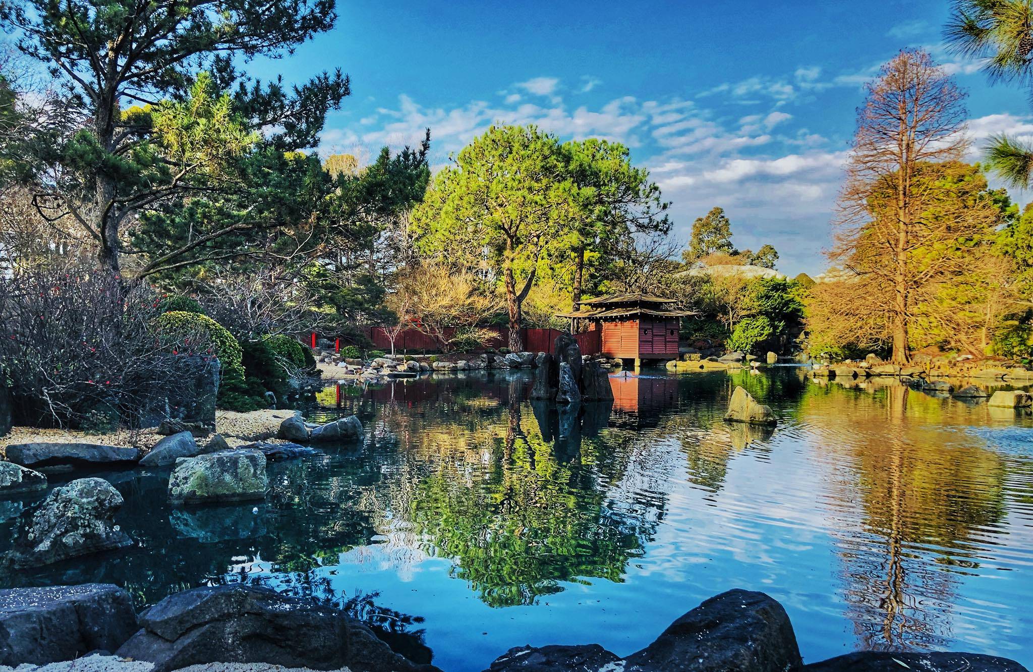 Japanese Landscape