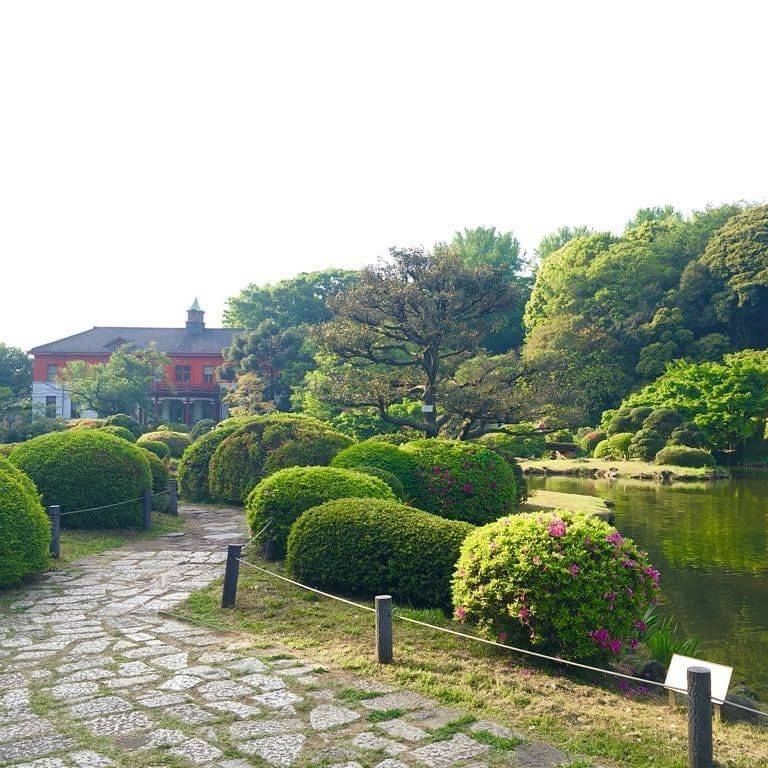 Koishikawa Botanical Garden Botanical Gardens Botanical Garden