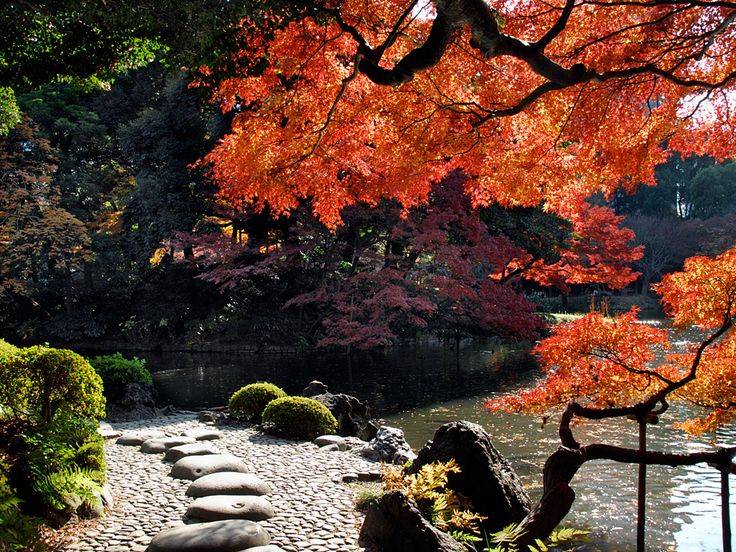 Koishikawa Botanical Gardens