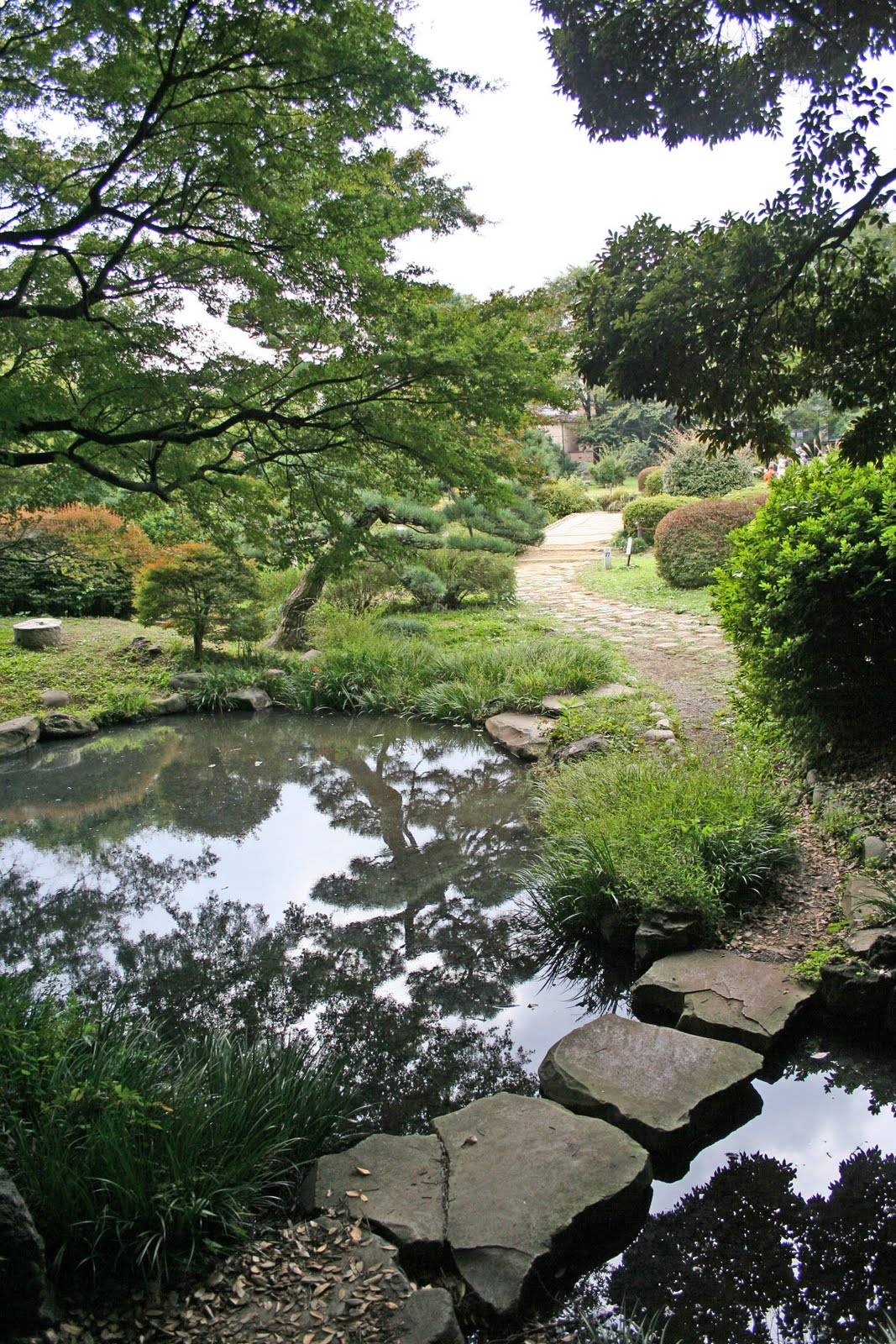 Koishikawabotanicalgardenfallfoliagetokyo Tokyo Travel