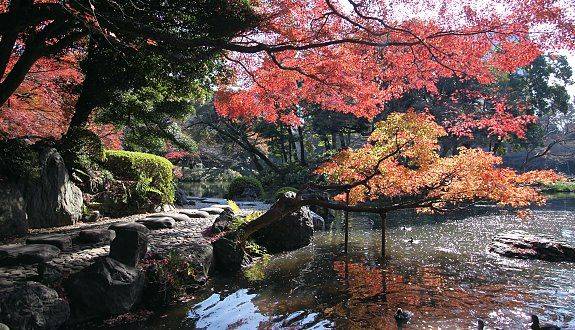 The Worlds Most Beautiful Botanical Gardens Botanical Gardens