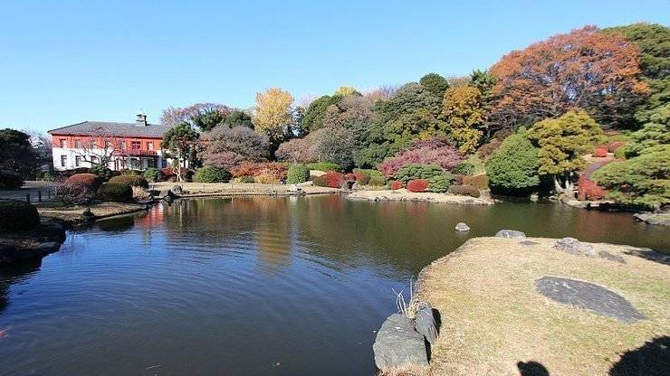 Tokyo Shorts Koishikawa Botanical Gardens Botanical Gardens