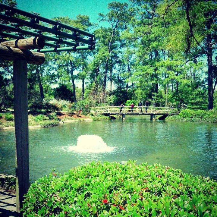The Houston Botanic Gardens First Phase