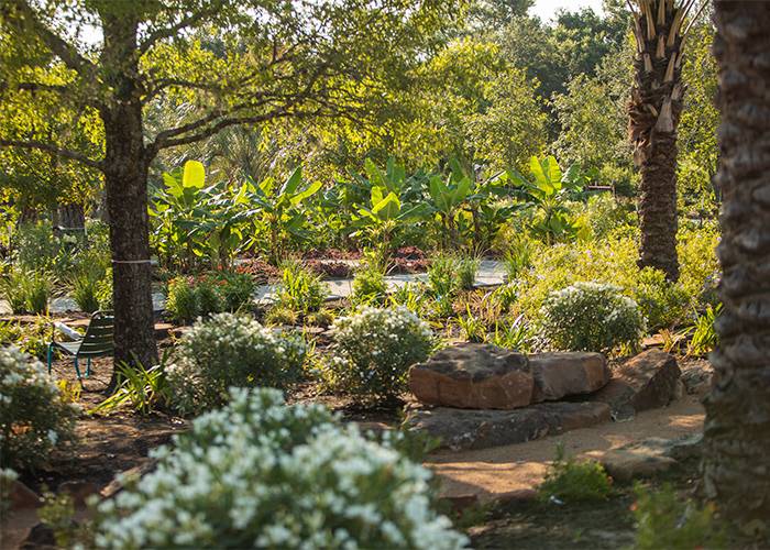 West Urban Design Landscape Architecture Projects Houston