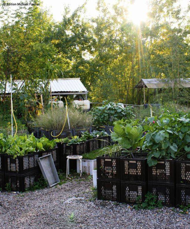 Landscape Design Gardening Definition Garden Architecture