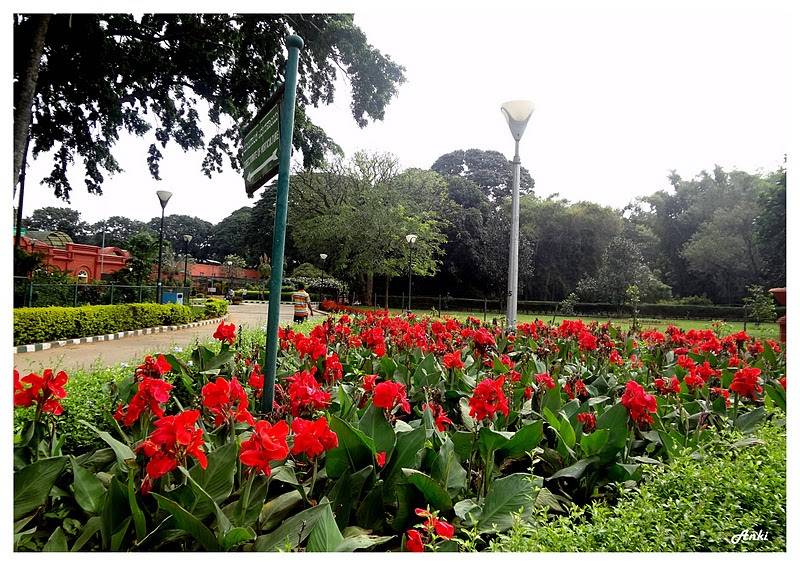 Lal Bagh Botanical Garden Bangalorebengaluru Stock Photo Image