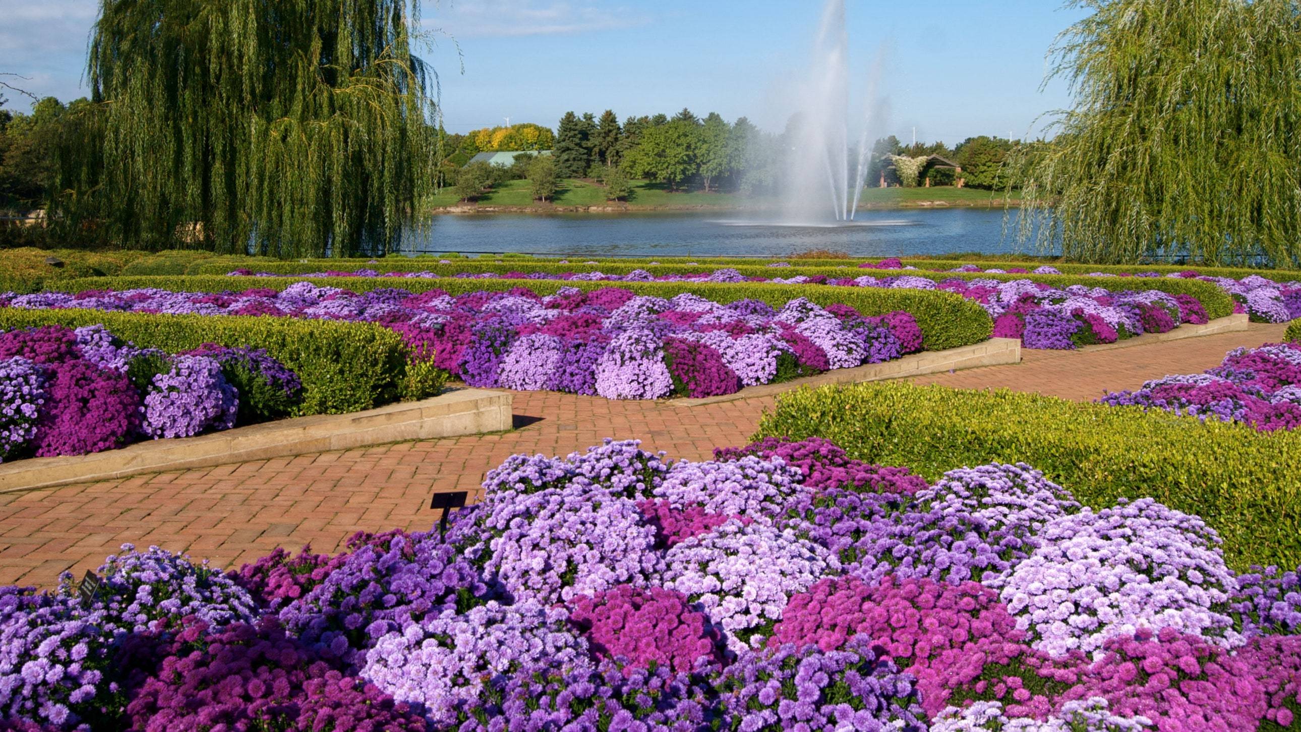 Charleston South Carolina Botanical Gardens Garden