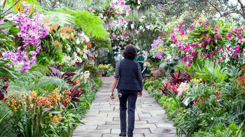 The Best Botanical Gardens