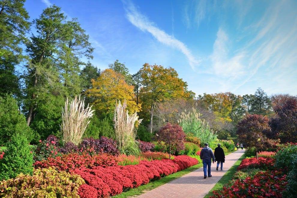 The Best Botanical Gardens