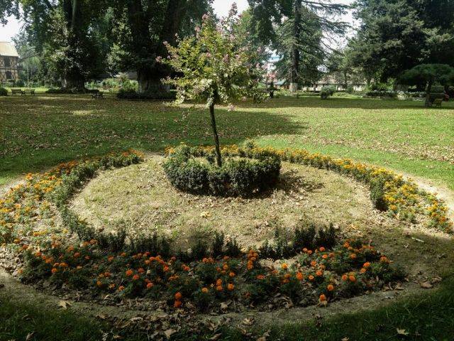 G A Demidov Memorial Botanical Garden