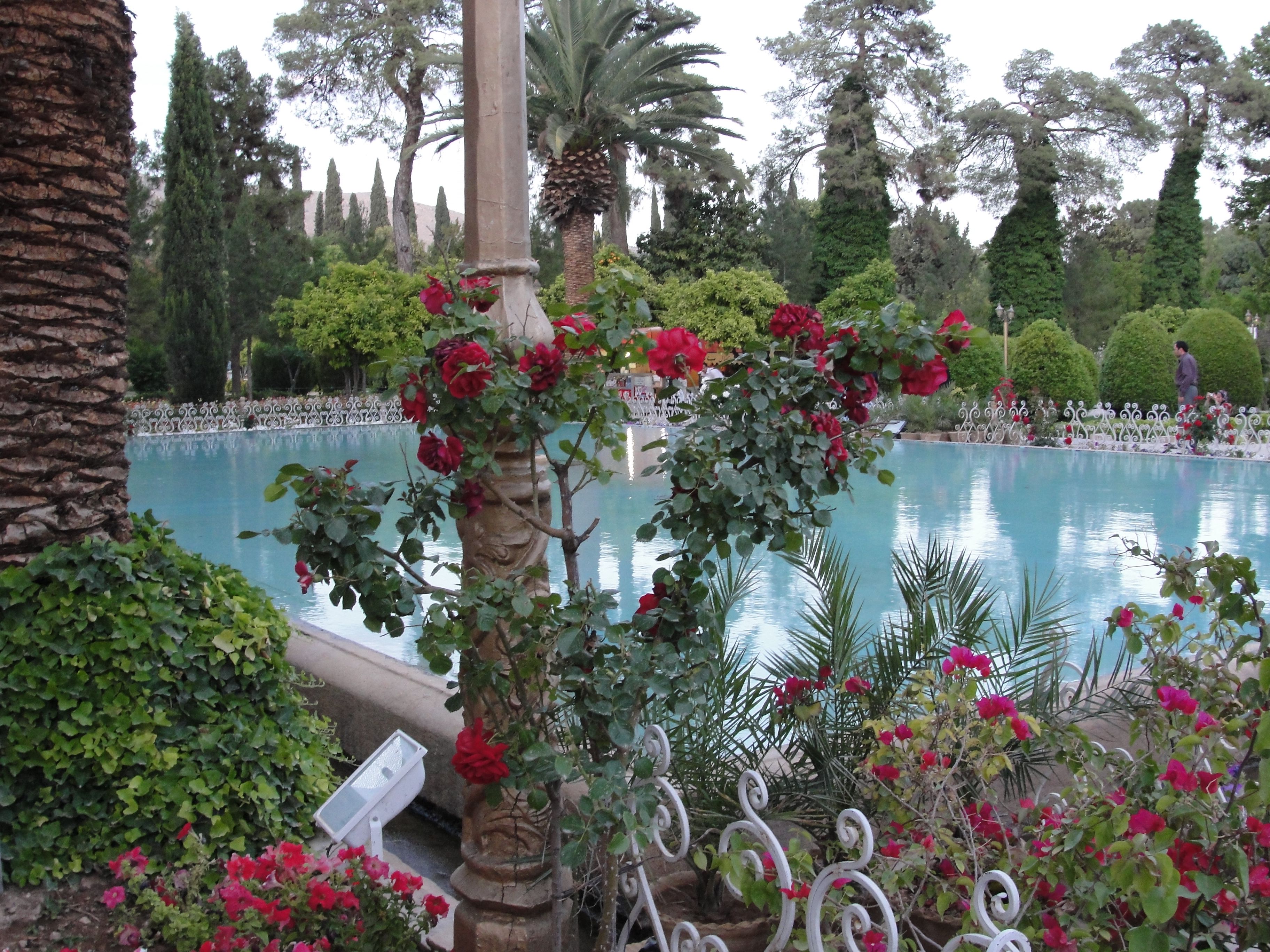 Eram Garden Shiraz Iran