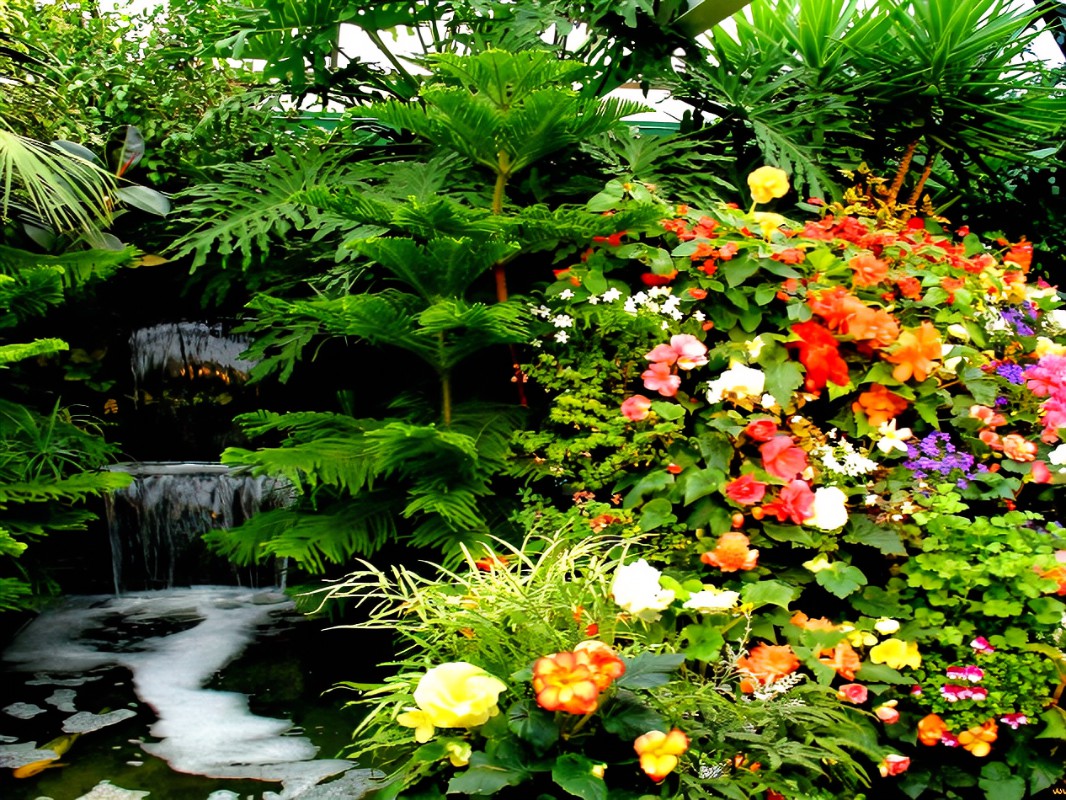 Breathtaking Backyard Ideas