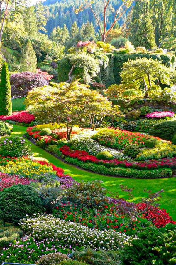 Tropical Paradise Tropicallandscape Beautiful Home Gardens