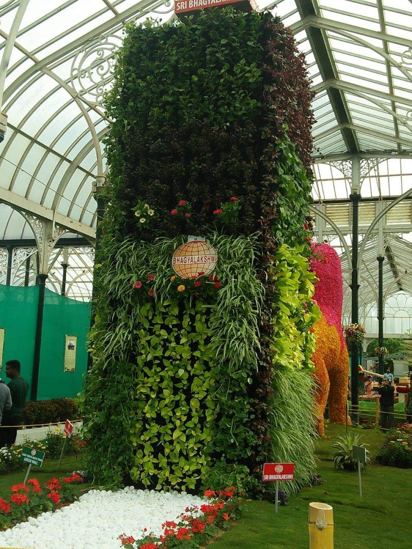 India Travel Pictures Lalbagh Flower Show
