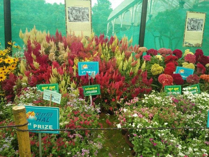 Lalbagh Flower Show