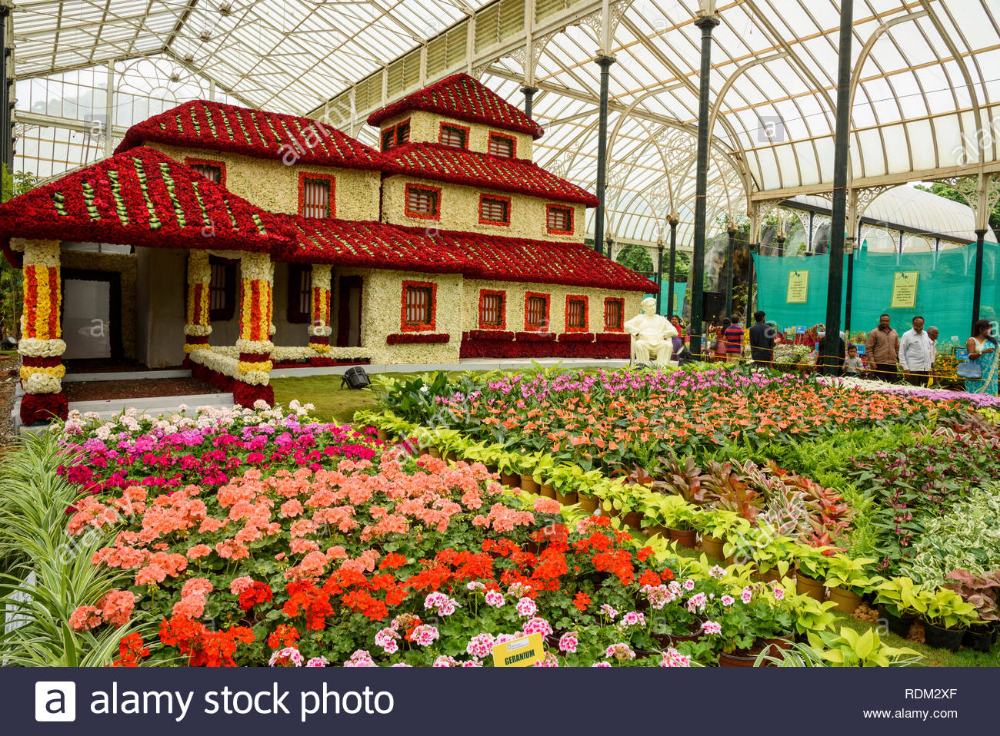 Lovely Lalbagh Flower Show