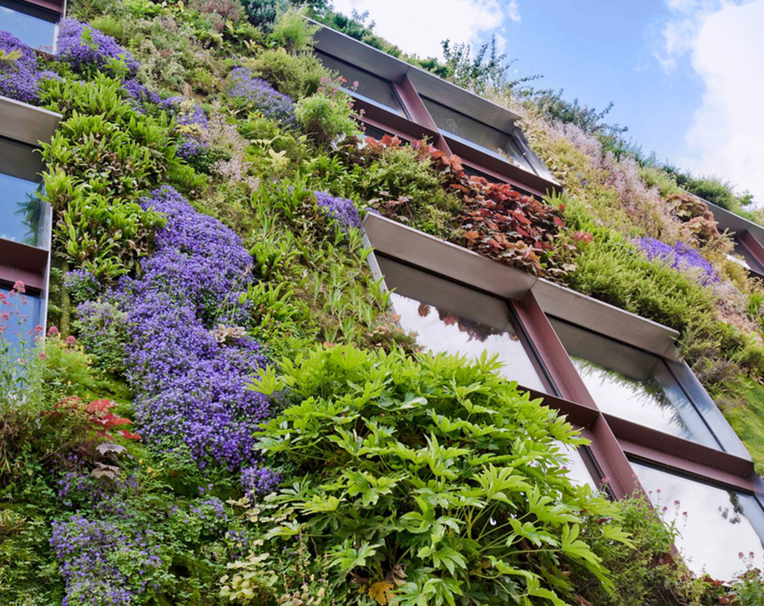 Alan Titchmarsh
