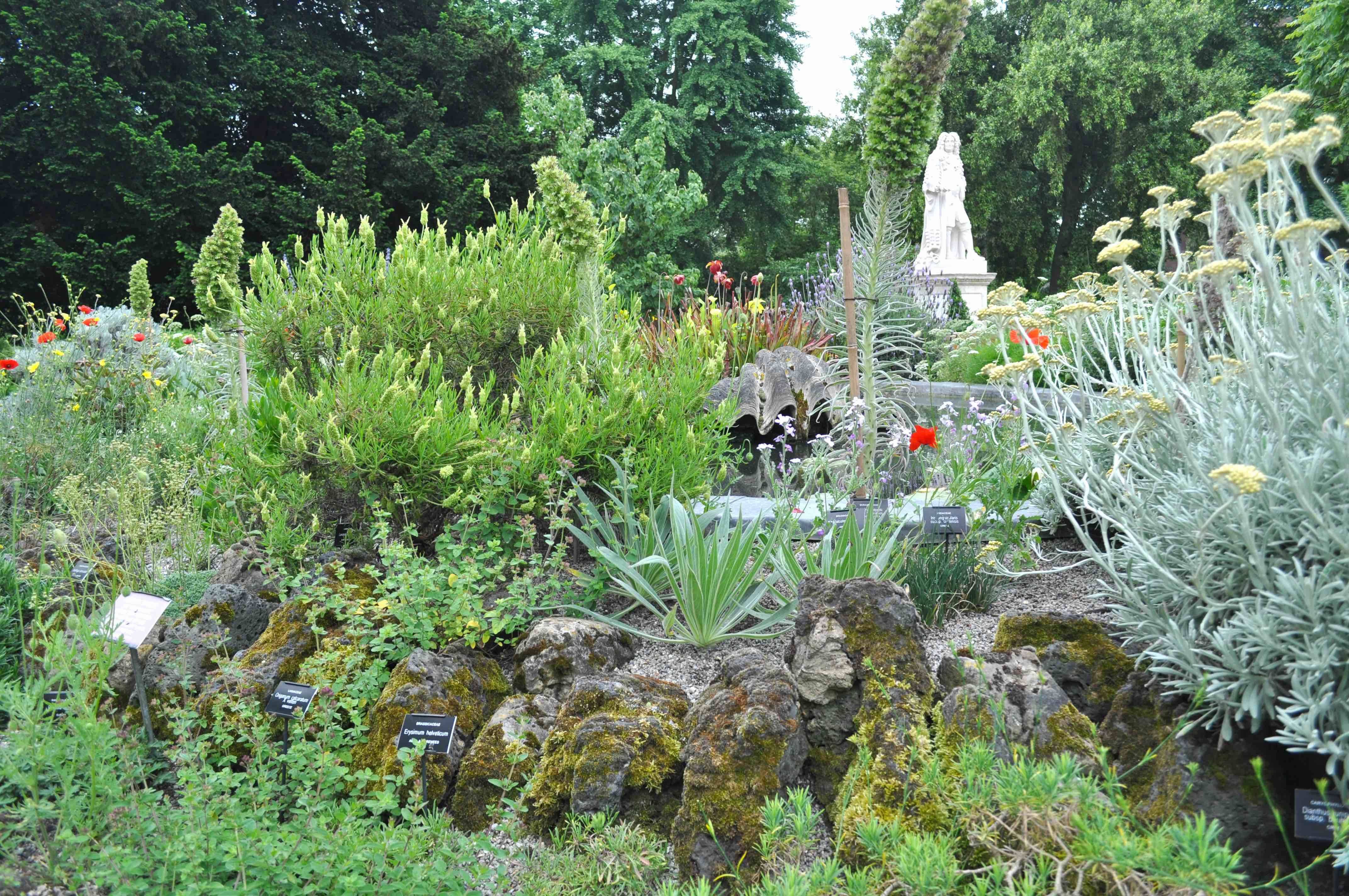 Landscaping Plants