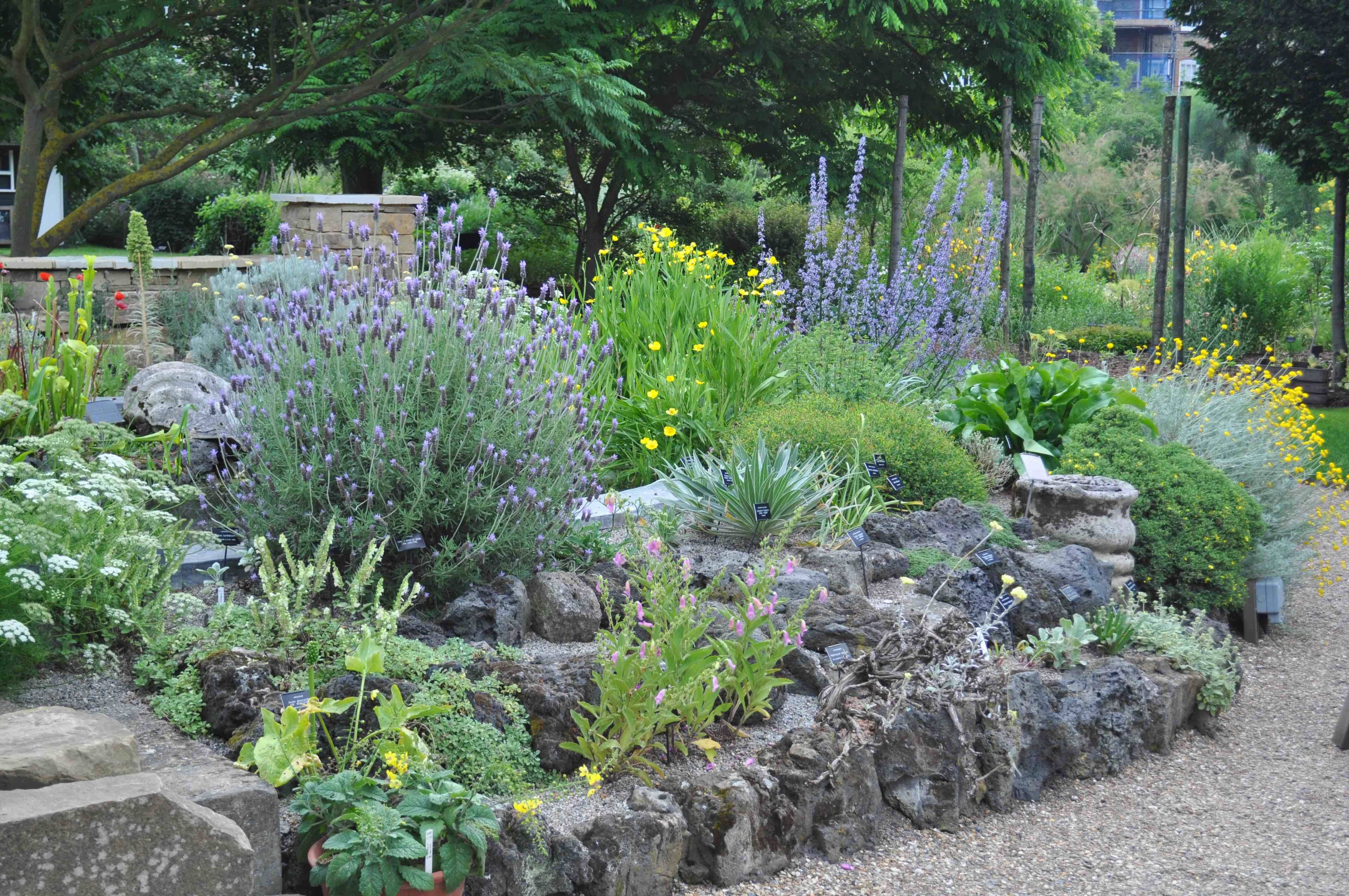 Chelsea Physic Garden