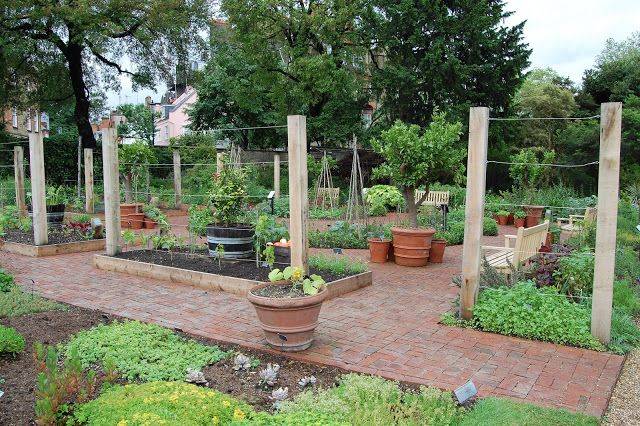 Containers Planted Up For Winter Chelseaphysicgarden