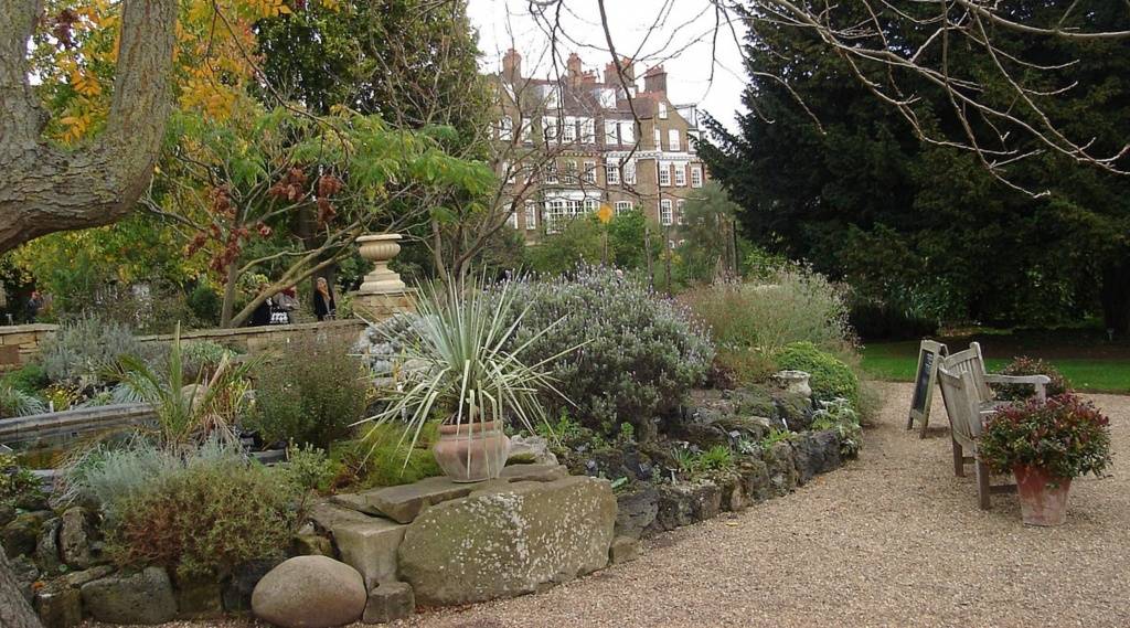 London Chelsea Physic Garden Plant Collections
