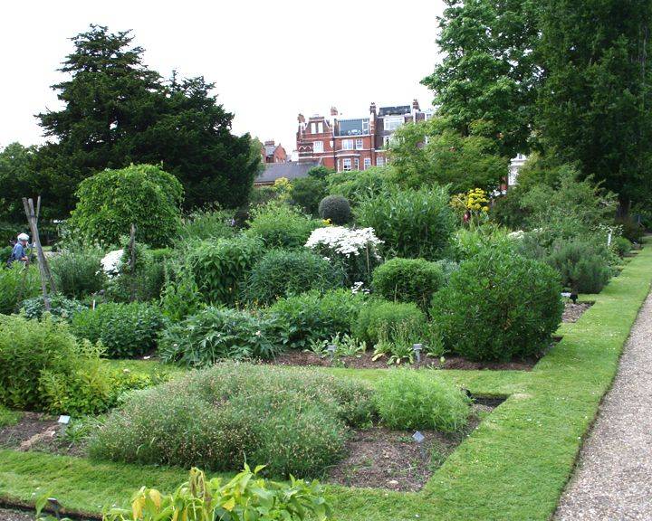 The Chelsea Physic Garden