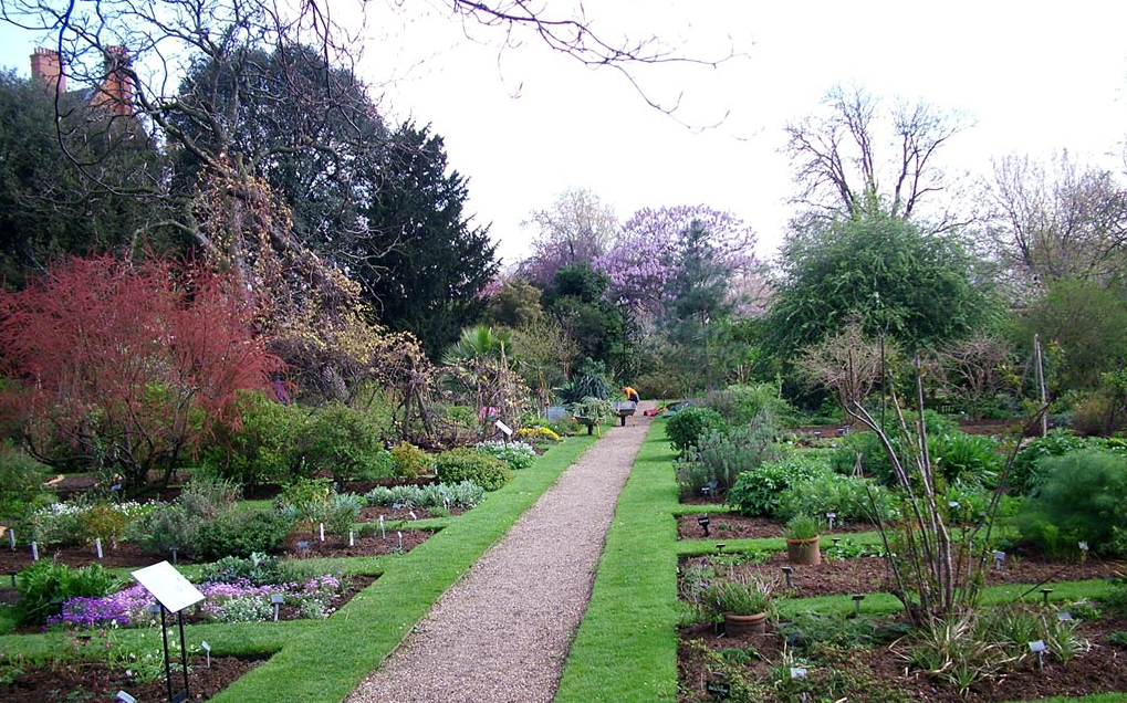 The Physic Garden