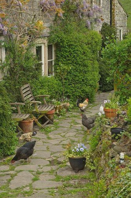 Amazing Climbing Plants Balcony Decoration