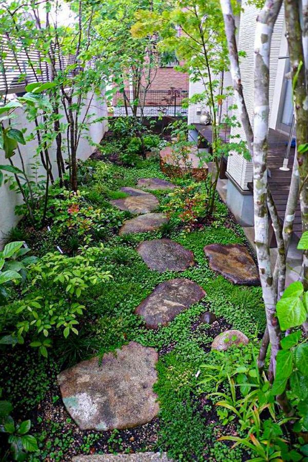 Trained Ivy Espalier Courtyard Garden