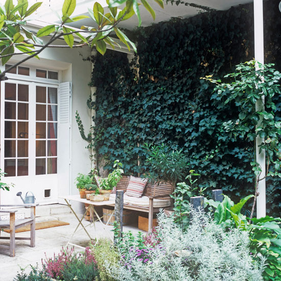 Ivy Garden Arch