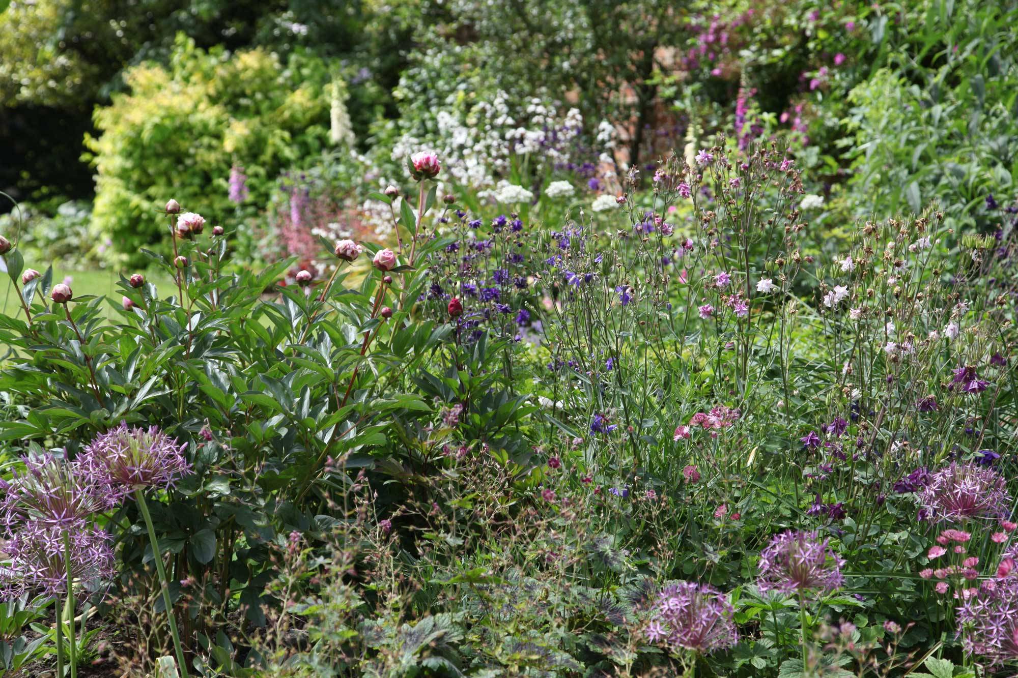 Your Kitchen Garden