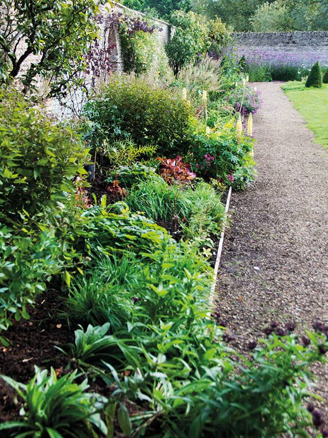 Your Kitchen Garden