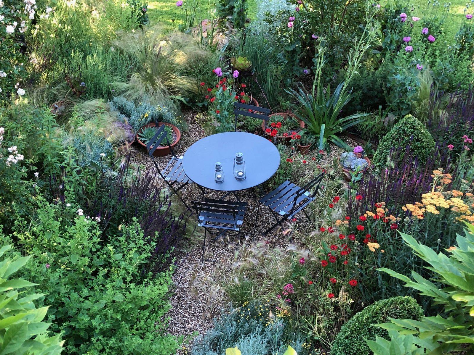 Garden And Landscape Designer