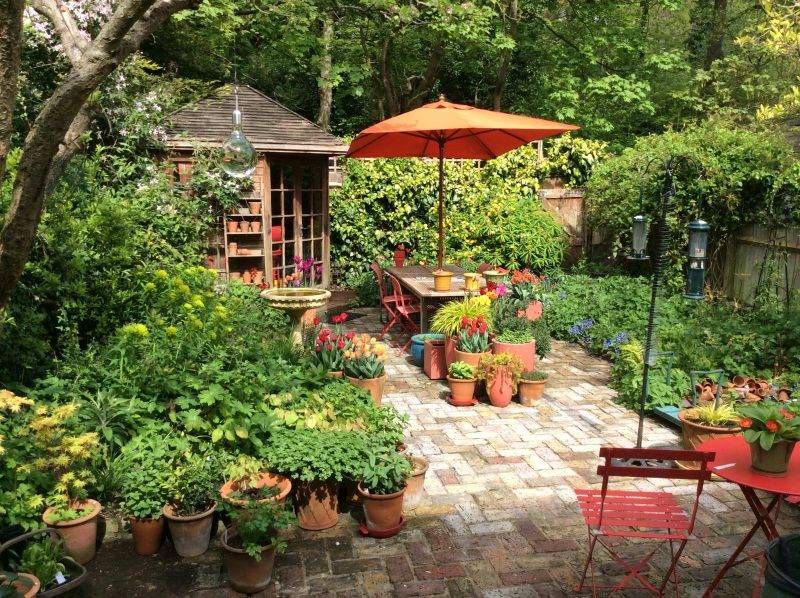 Adam Frost Garden Design Services