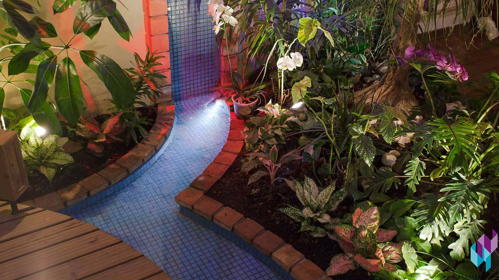 Small Backyard Landscaping