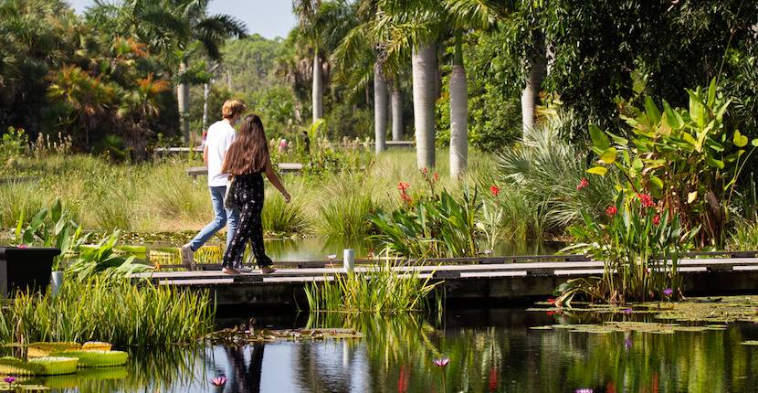 Pxpondmountsbotanicalgardenpalmbeachcountyflorida
