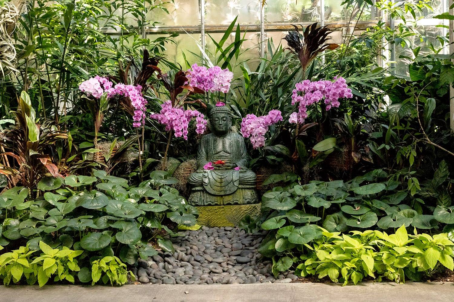 Beautiful Potted Combination