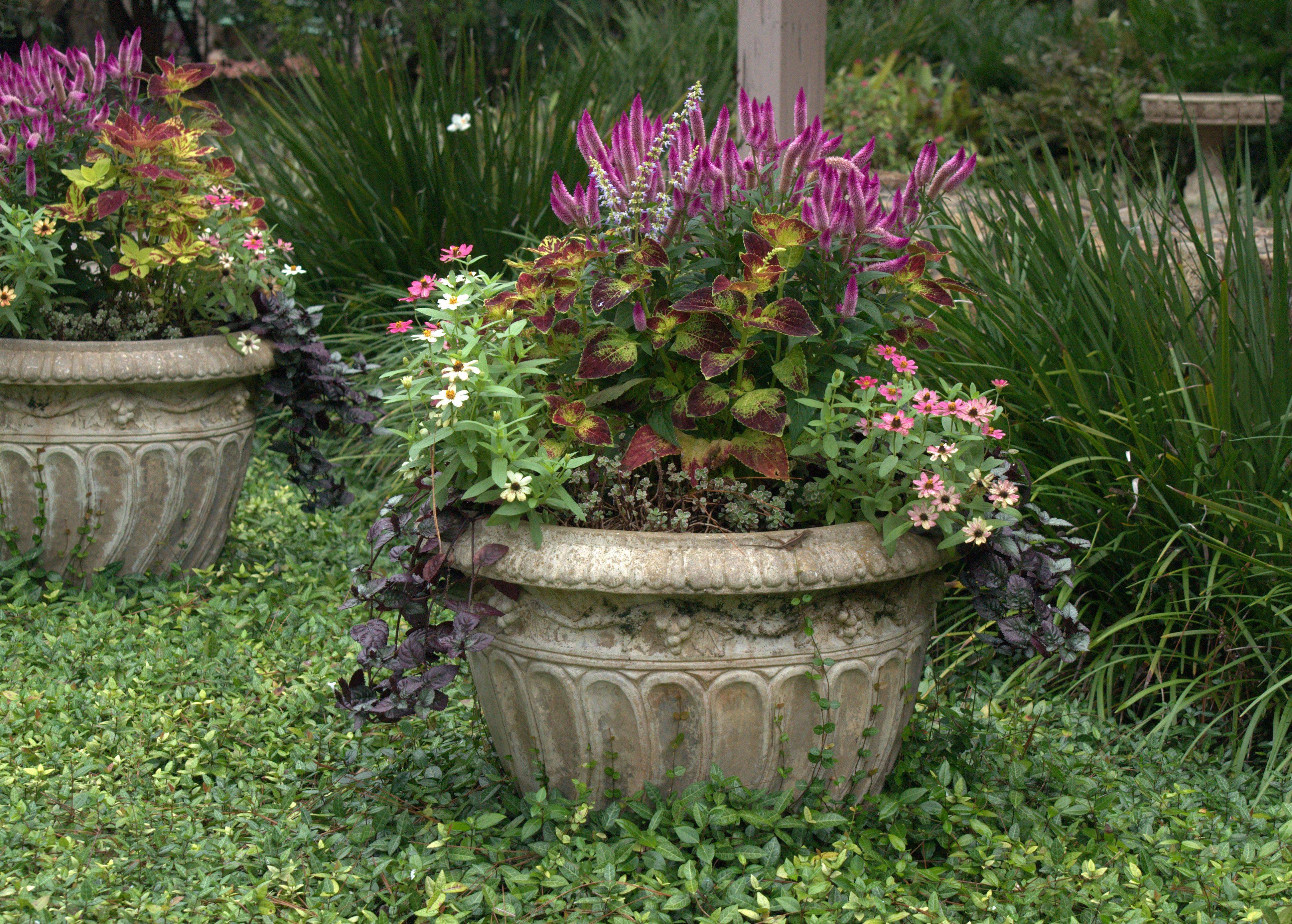 Naples Botanical Garden