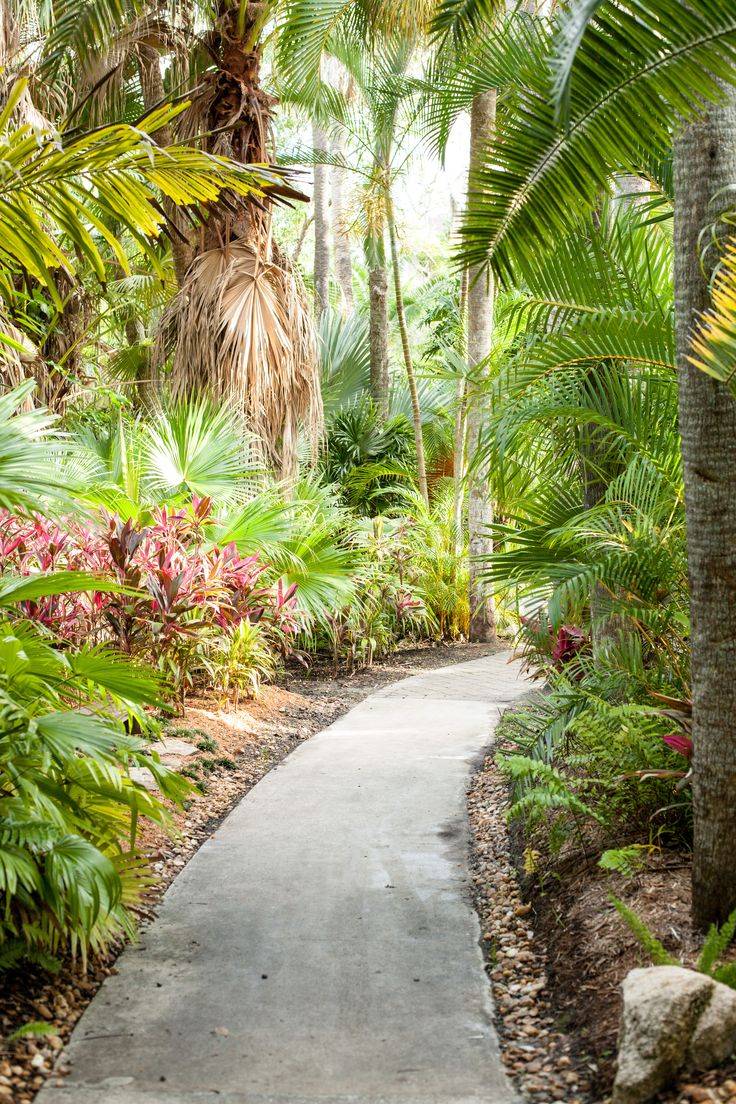 The Most Beautiful Gardens
