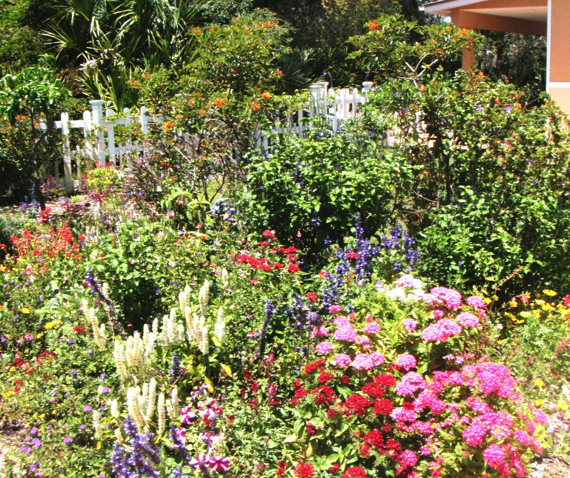 Tropical Flower Garden Design Ideas
