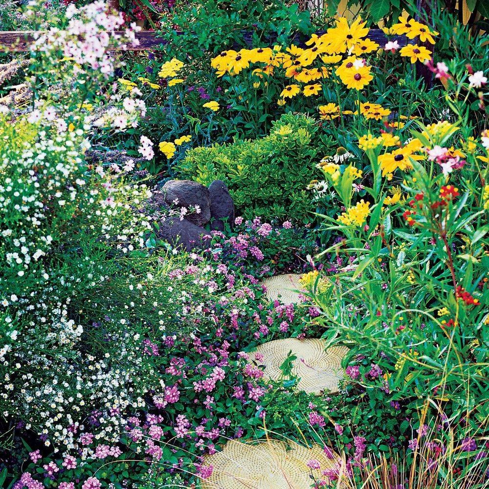 Butterfly Gardens Krts