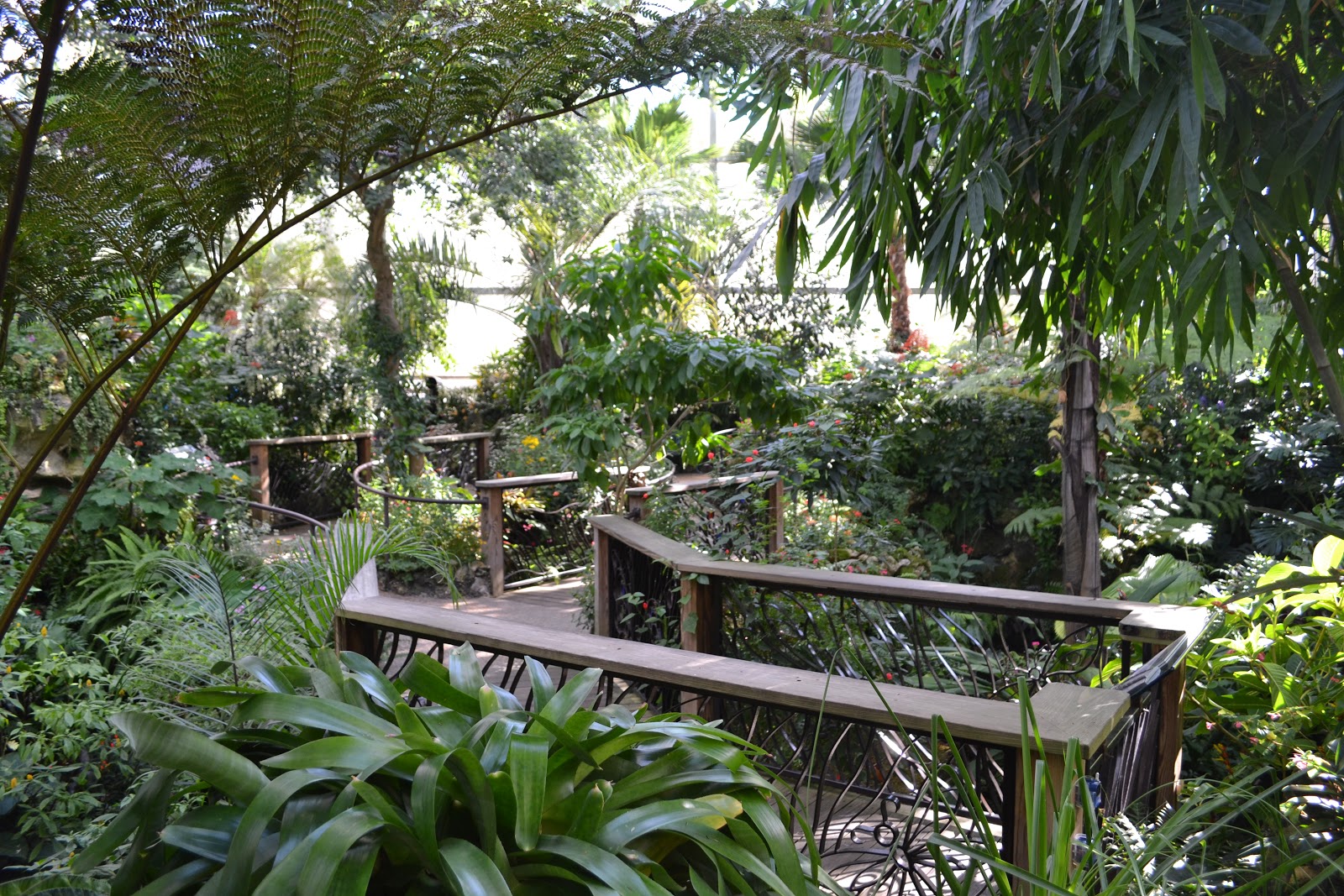 Butterfly Rainforest