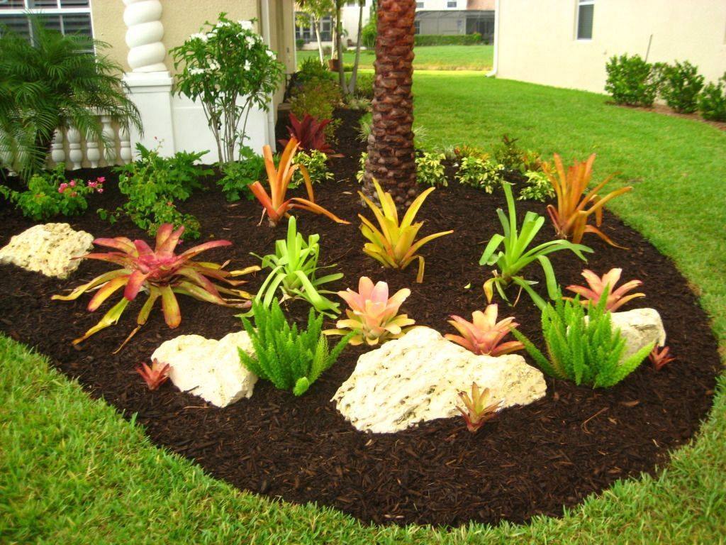 Central Florida Landscaping Plants