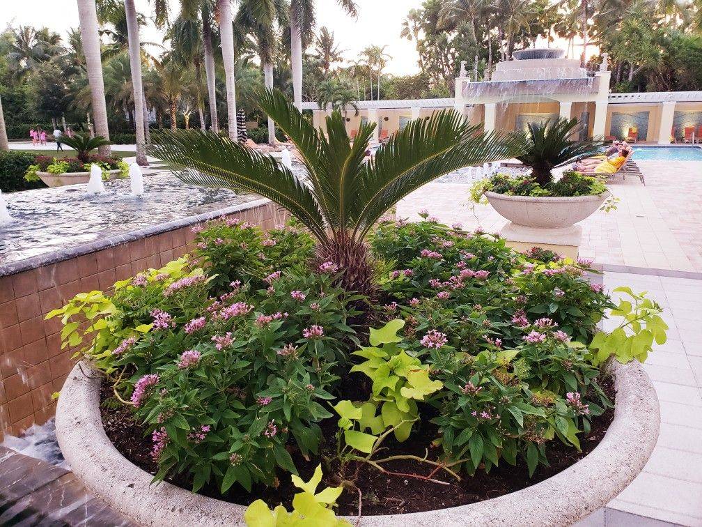 Tropical Garden Design Plants Tropical Landscaping