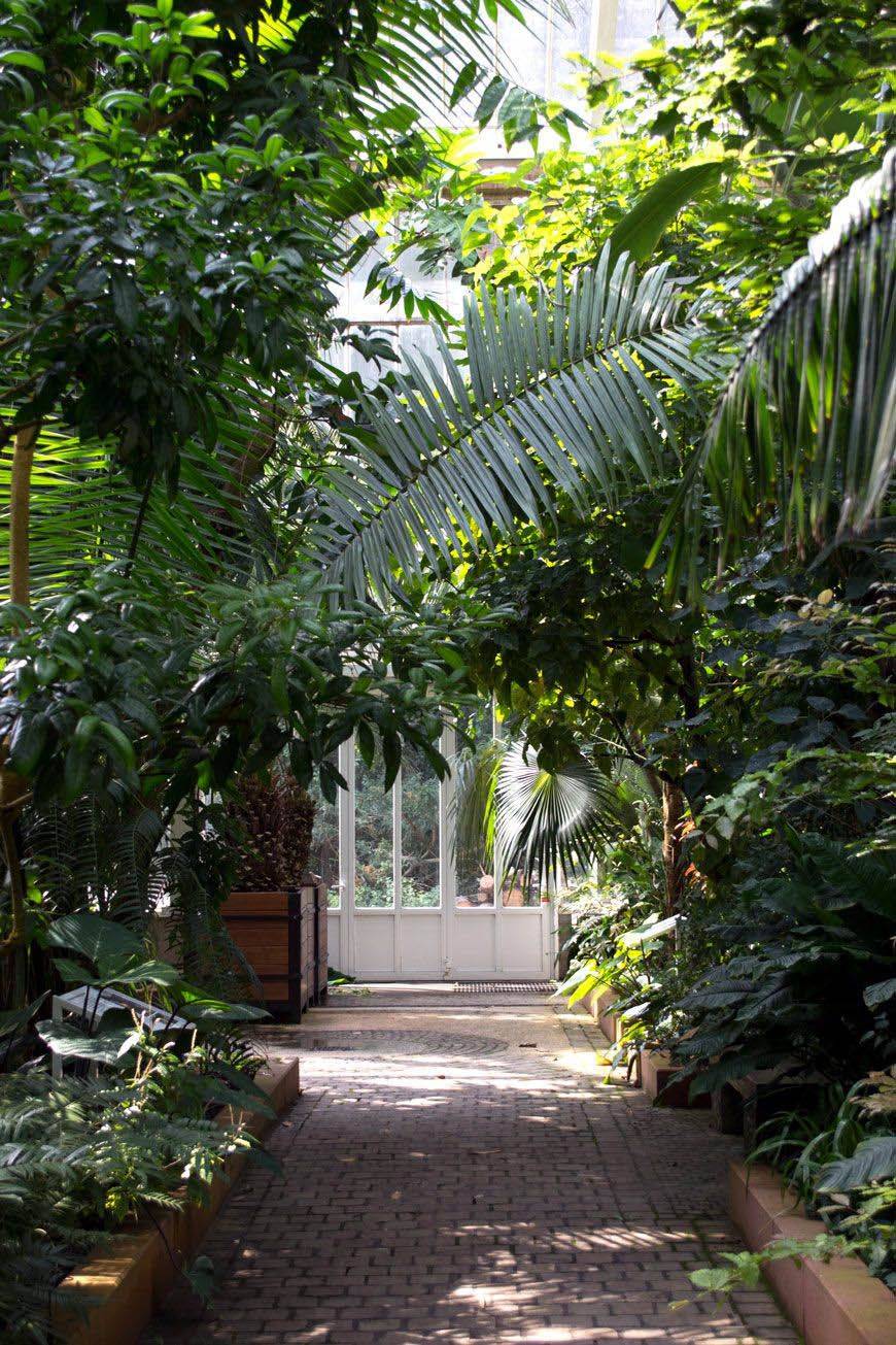 Fl Residential Landscape Tropical Landscape Miami