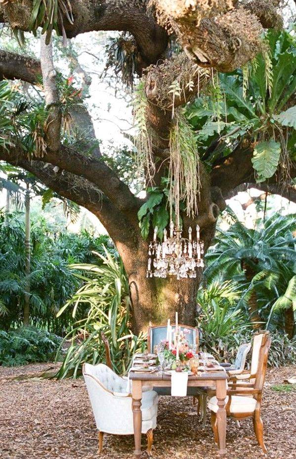 Naples Botanical Garden Modern Landscape