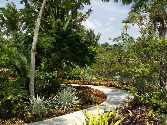 The Miami Botanical Gardens Botanical Gardens