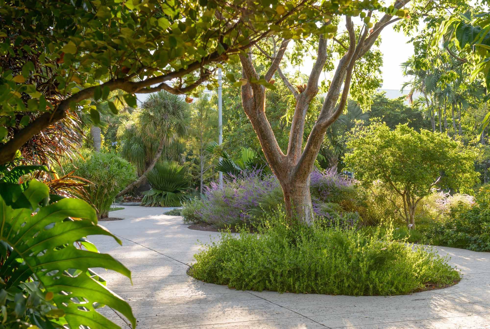 Fairchild Tropical Botanic Gardens Miami Florida Gianny Campos