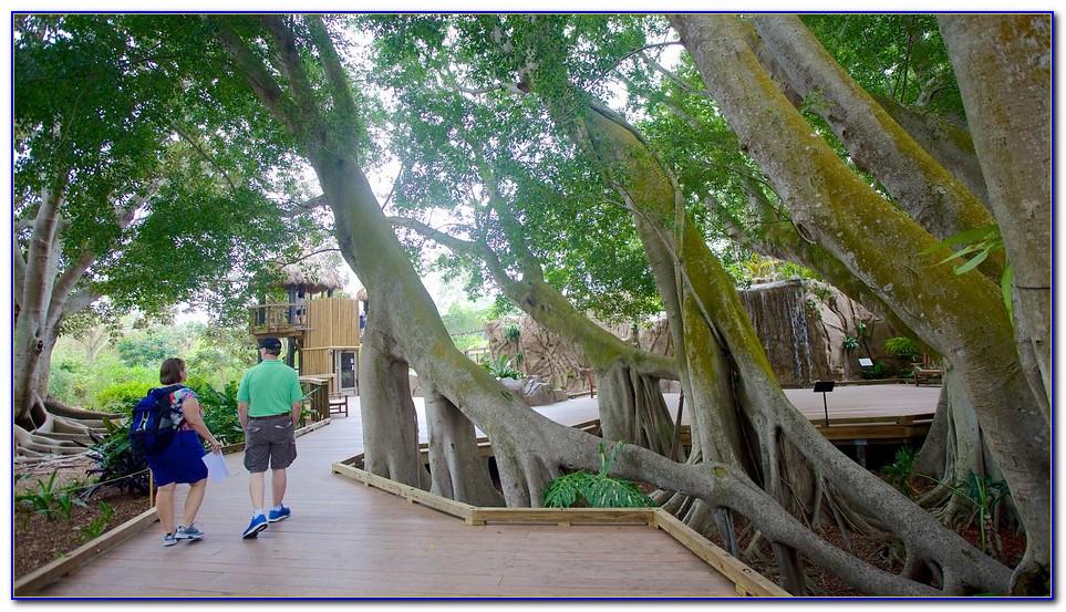 24 Selby Botanical Garden Ideas You Should Look SharonSable