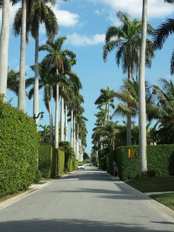 Fl Palm Beach County Landscapers